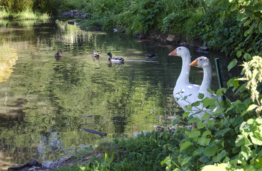 Come on in...... Brockweir.