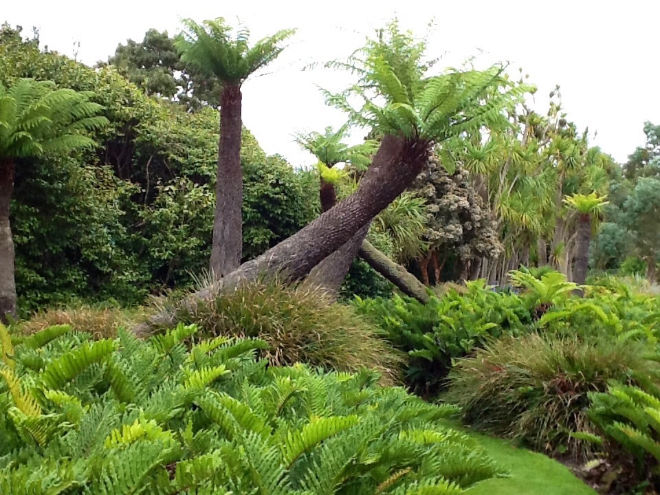 Logan Botanic Gardens