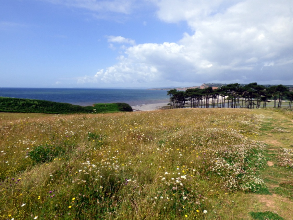 Budleigh Salterton