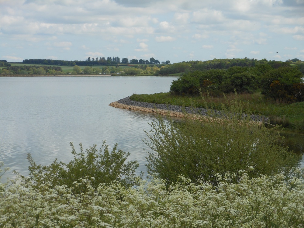 Pitsford Reservoir, Pitsford, Northamptonshire