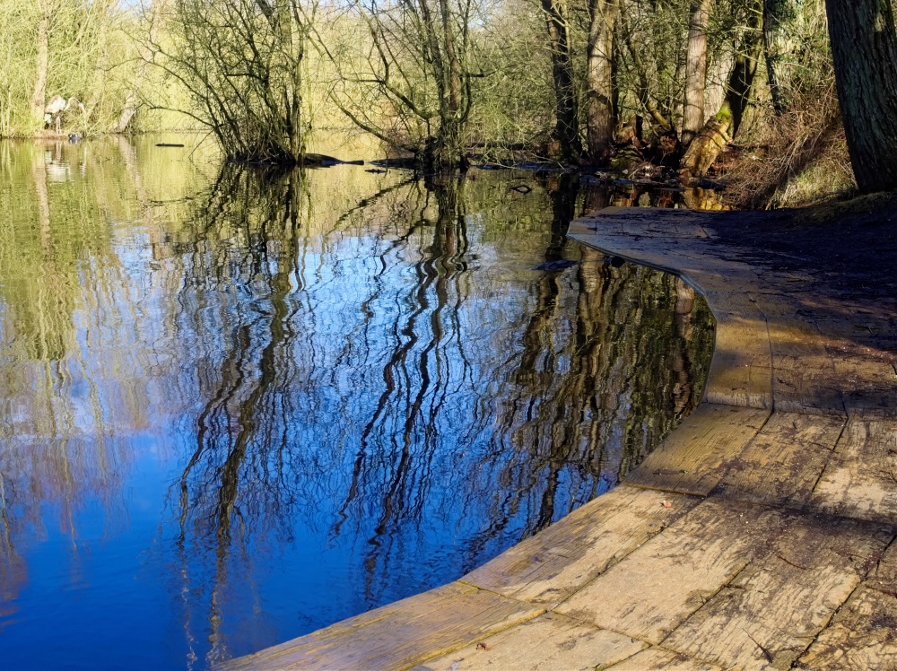 Photograph of February Colour in Milton Country Park