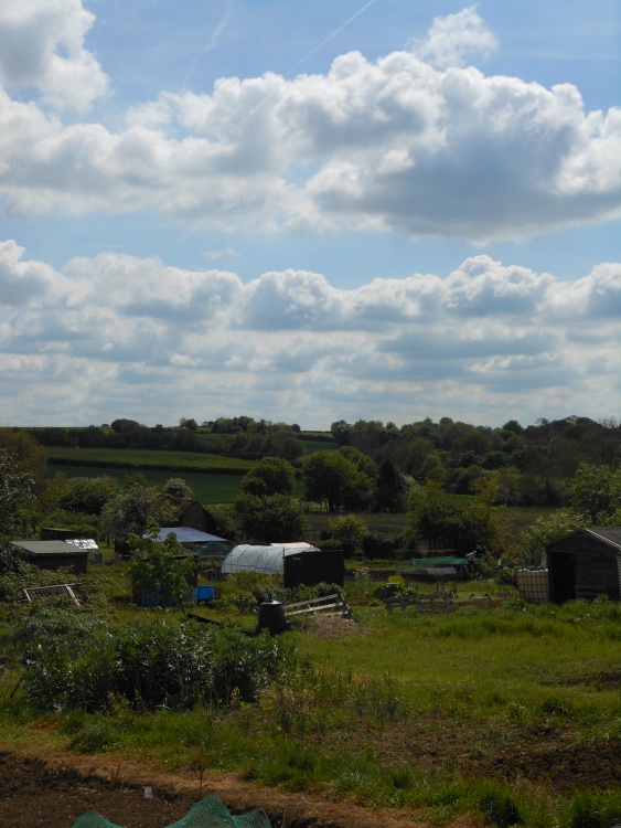 Garden plots in Wollaston, Northamptonshire
