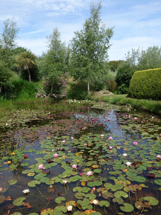 Bennetts Water Gardens