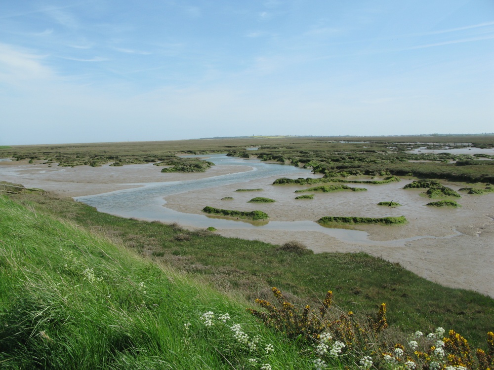 Oakley Creek salt marshes, Great Oakley