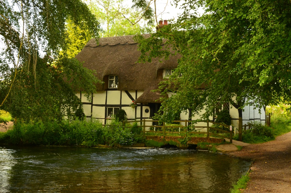 Photograph of River walk  New Alresford near Winchester