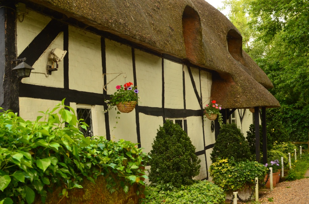 River walk  New Alresford near Winchester