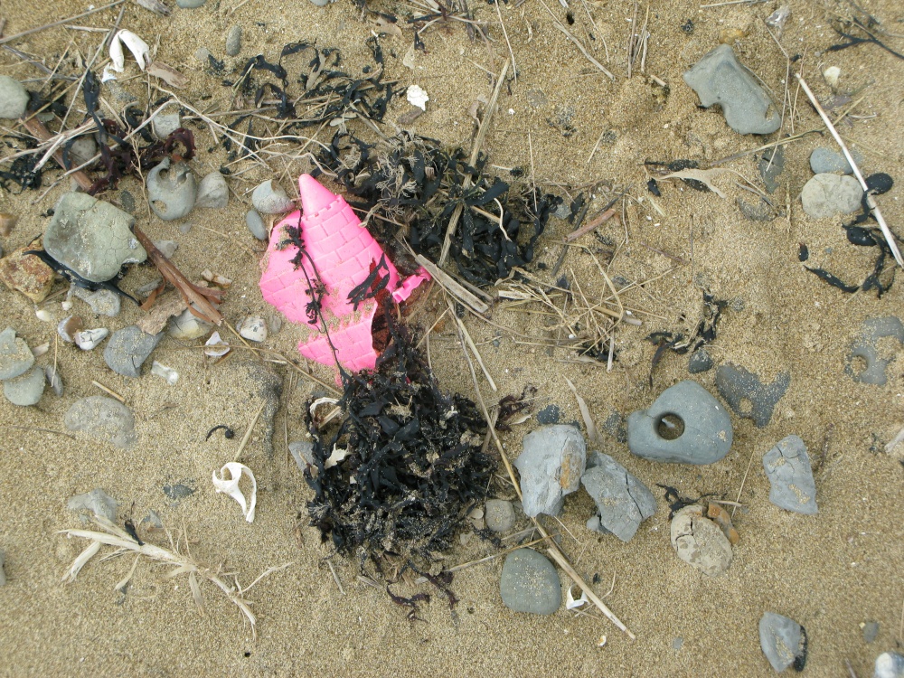 Remains of a summer. Walton on the Naze