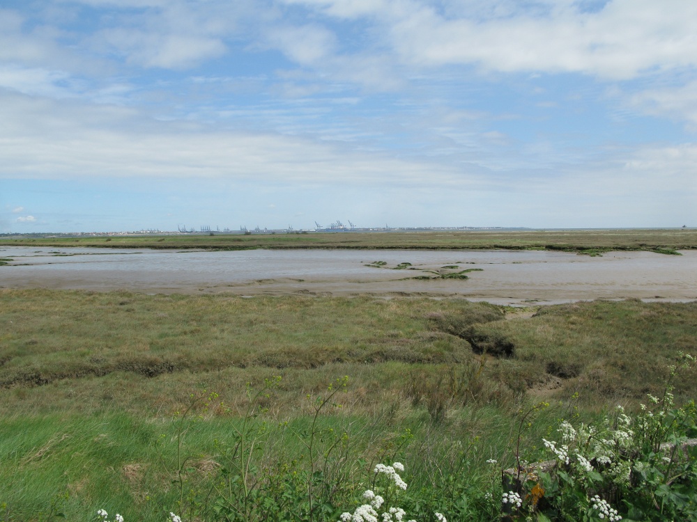 Walton Hall Marshes. Walton on the Naze