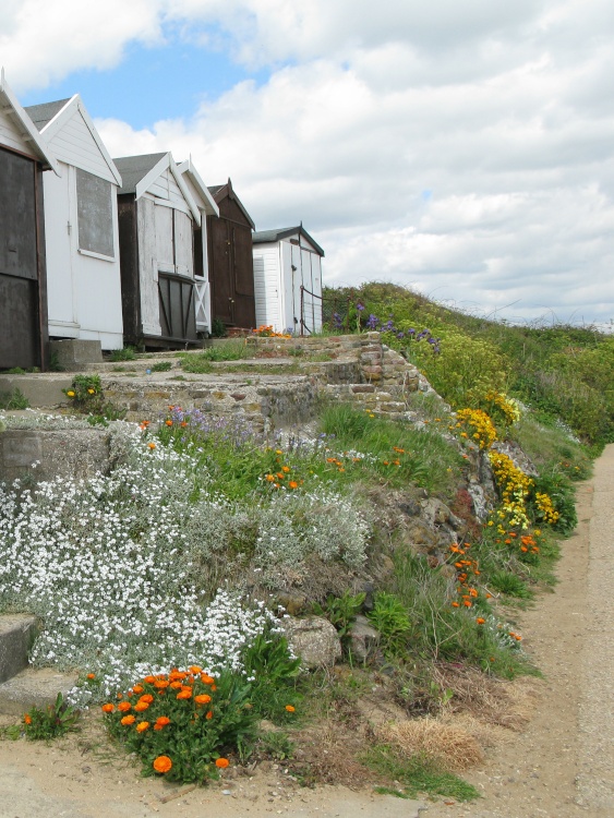 Beach huts. Walton on the Naze