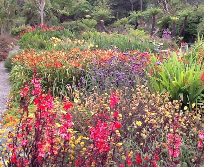 Logan Botanic Gardens, Dumfries & Galloway.