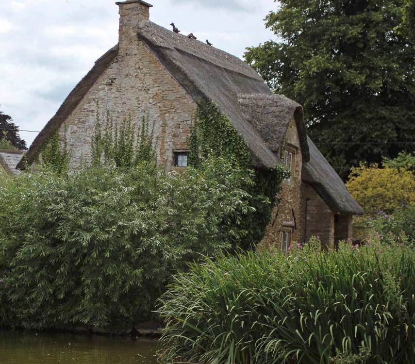 Ducks on the roof?, Biddestone