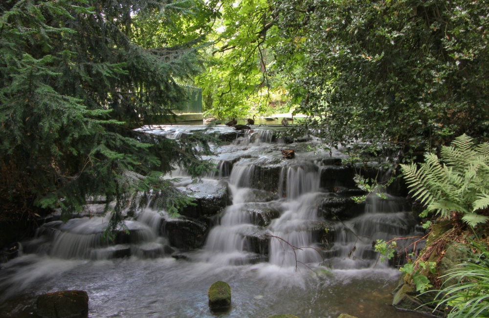 Grove Cascade