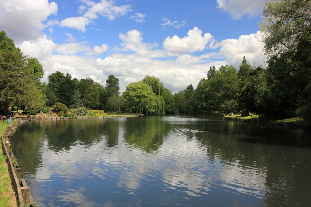 Beddington Park Pond