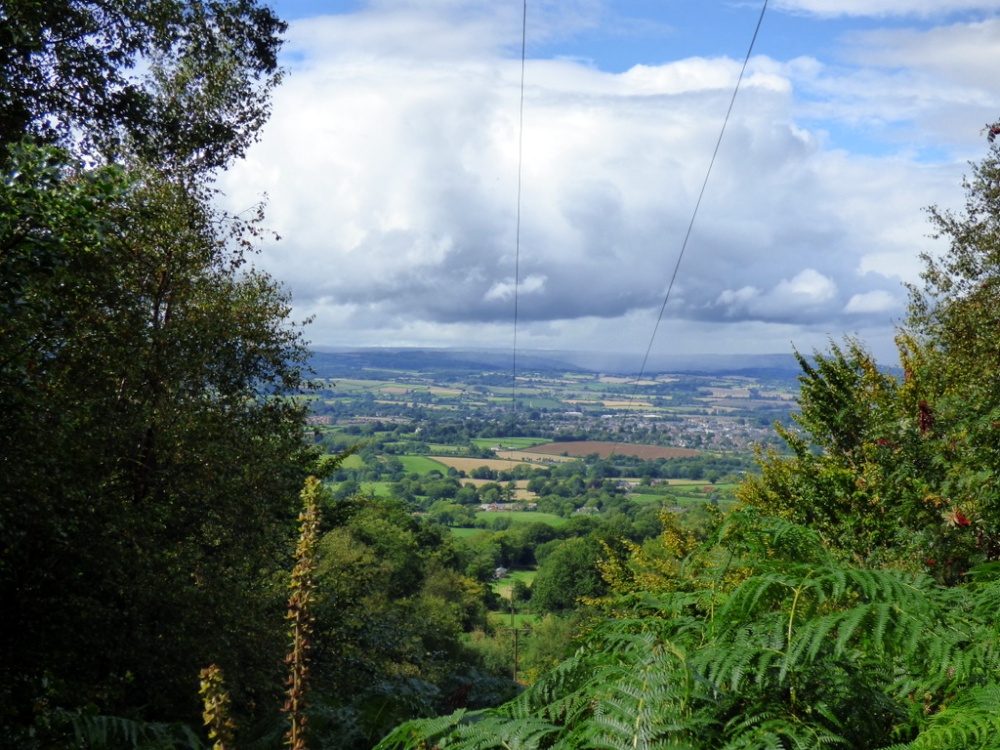 Photograph of Wellington