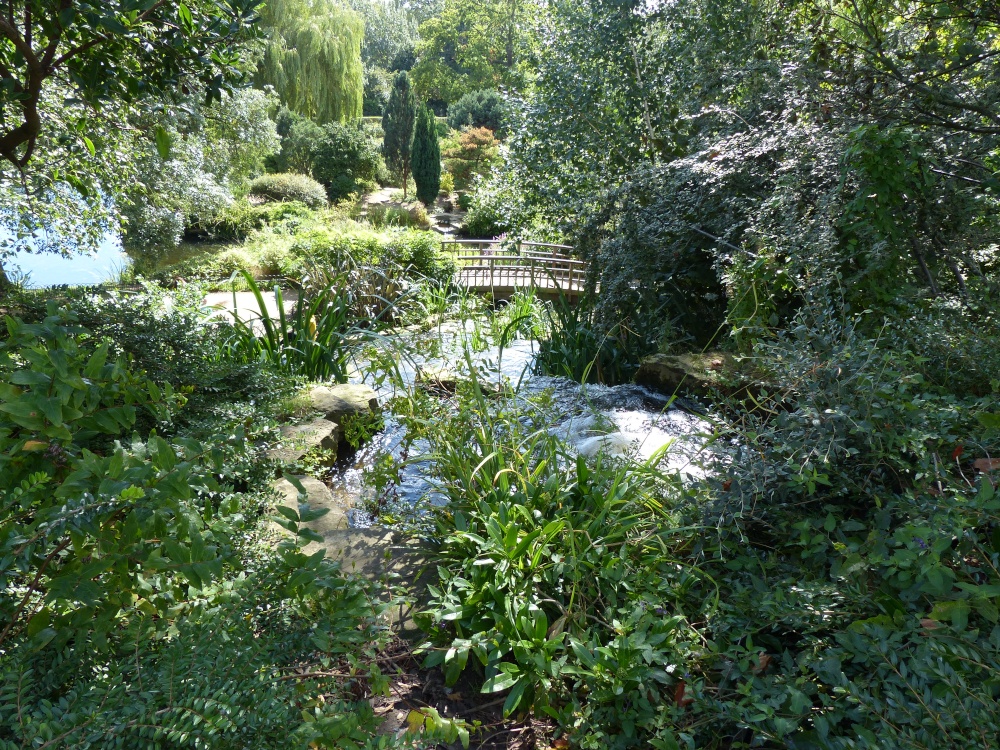 The Japanese Garden in Regent's Park photo by Stephen