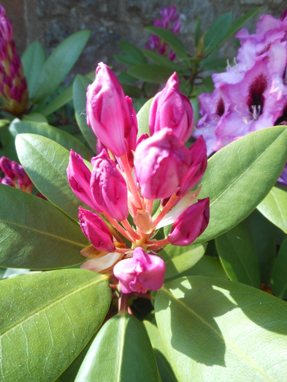 Hartington, Derbyshire