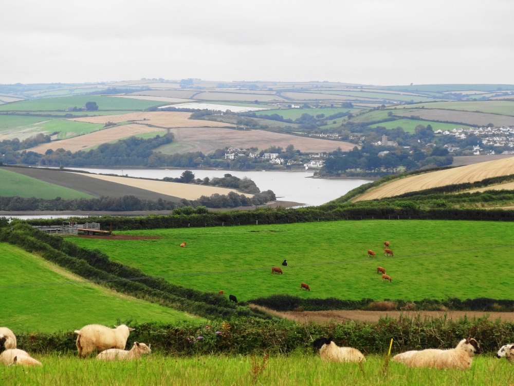 Photograph of view piont Malborough Devon, near Salcombe
