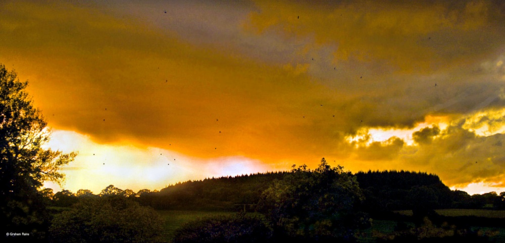 Stour Valley Summer, Shillingstone.