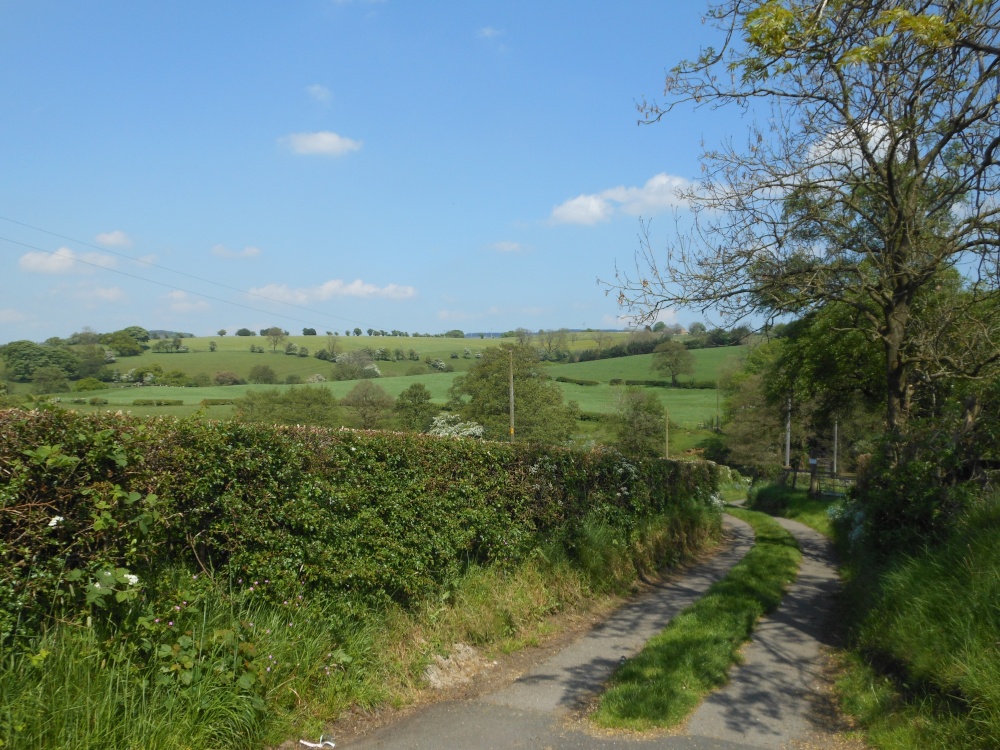 Near Leek, Staffordshire