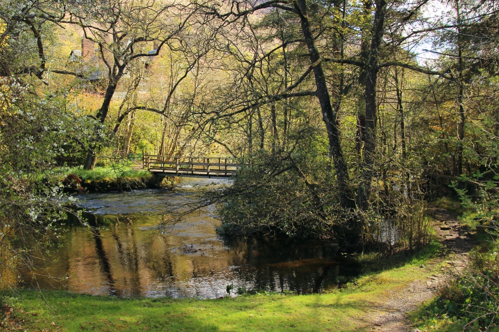 Pastoral landscape  at Loch Ard