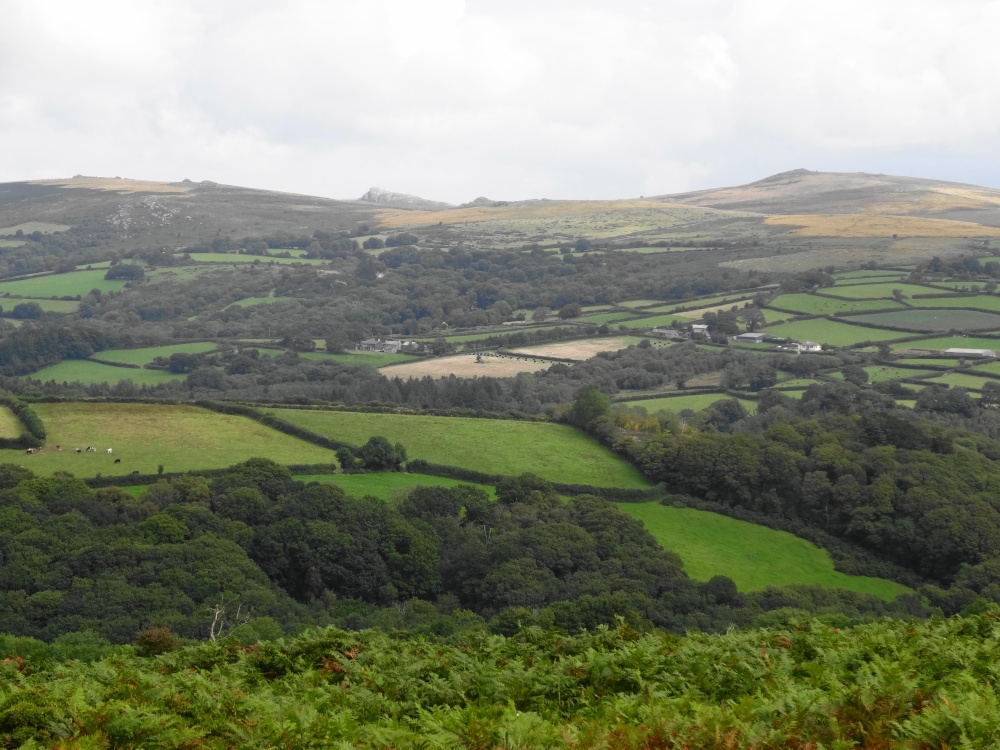 Dartmoor National Park, Devon
