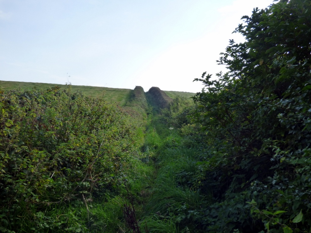 Photograph of Abbotsbury