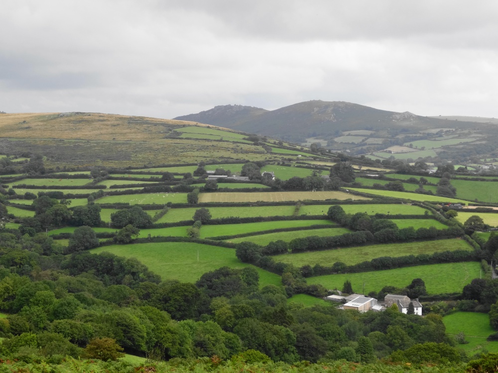 Dartmoor National Park, Devon