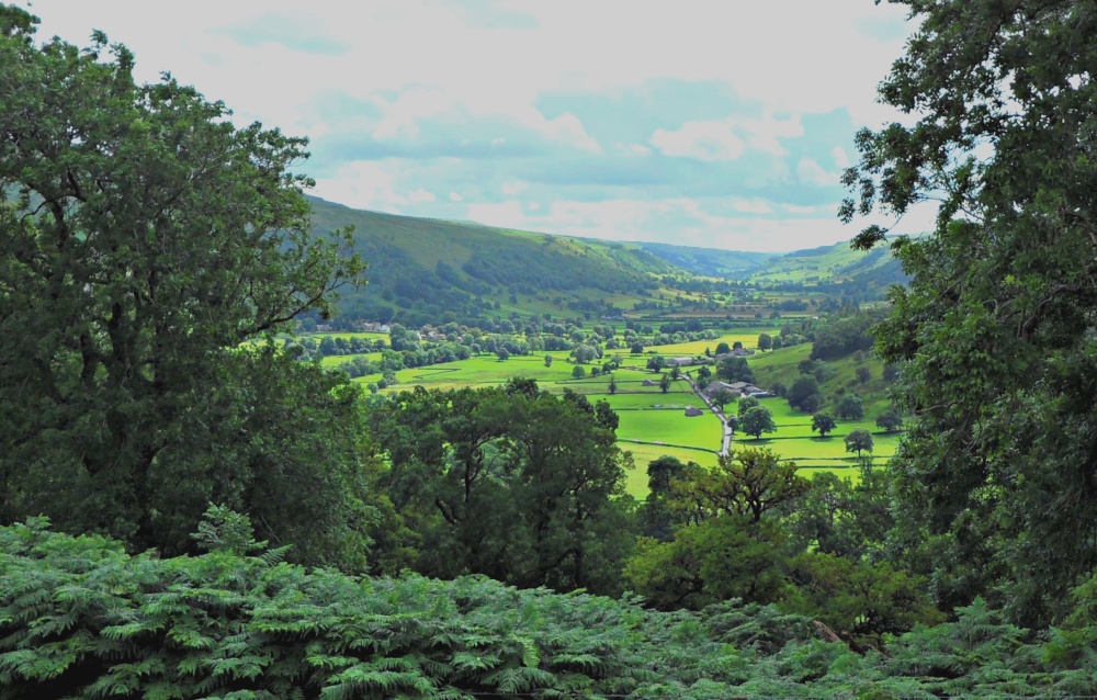 Photograph of Wharfedale from Todds wood
