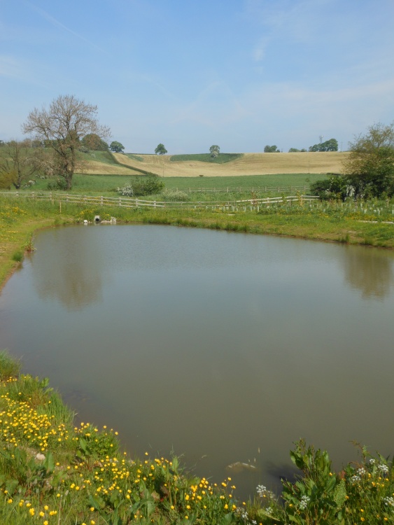 Near Leek, Staffordshire
