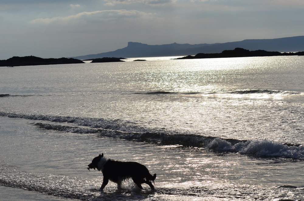 Photograph of Last light on Mull near Mallaig