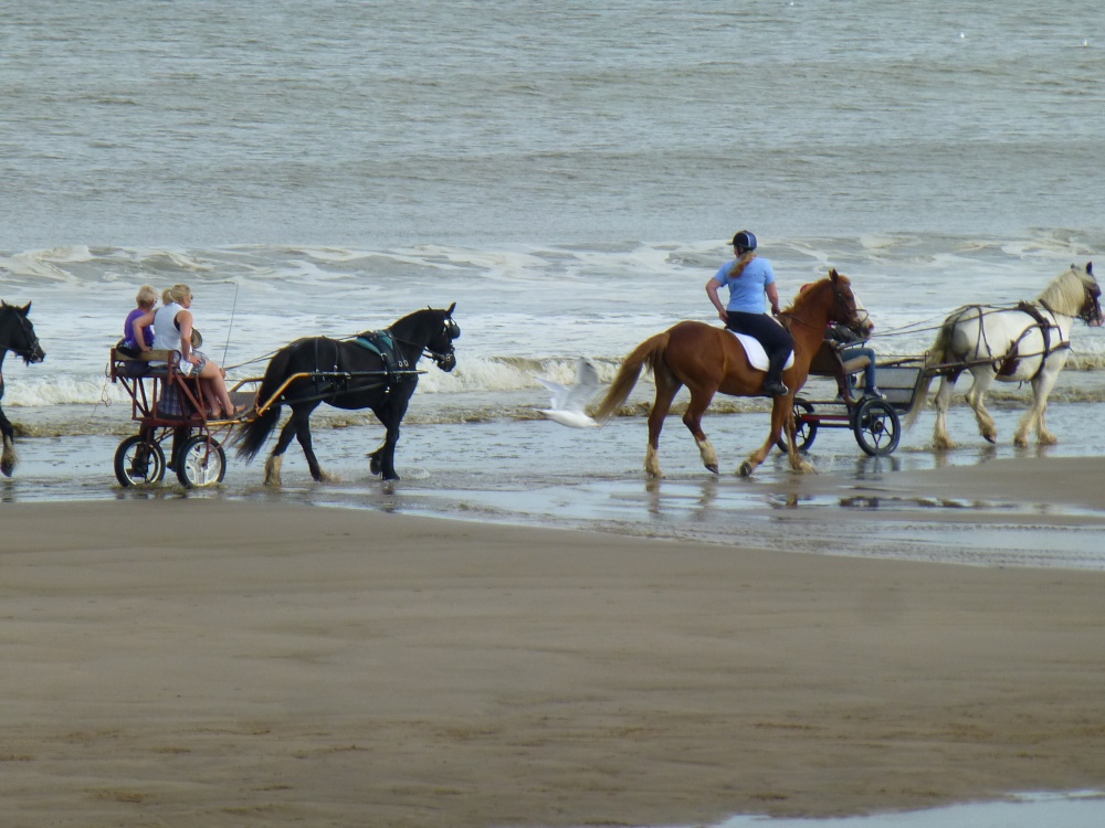 Hottoft Bank Lincolnshire