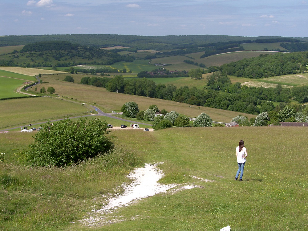 South Downs of West Sussex