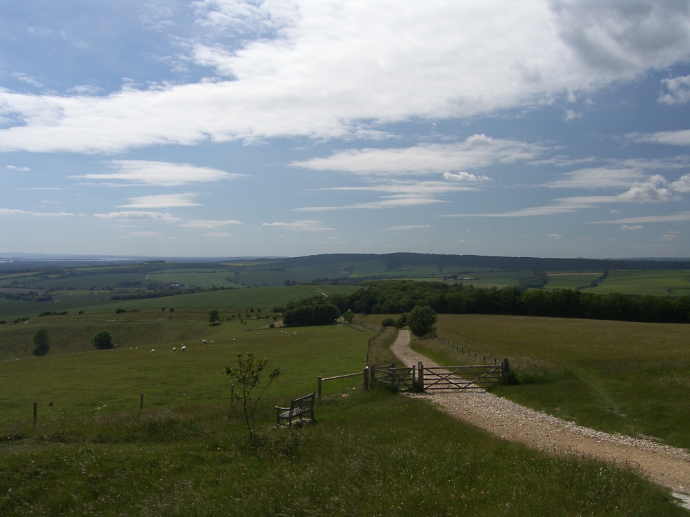 The South Downs of West Sussex,