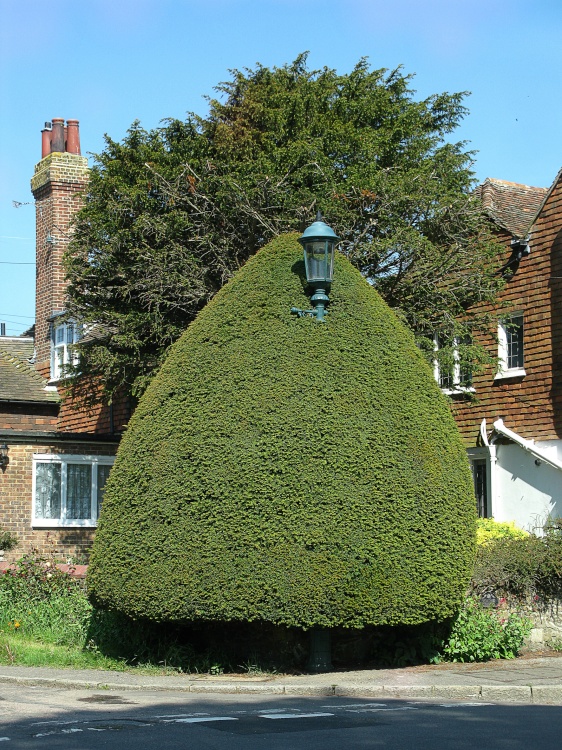 Lamppost, Winchelsea