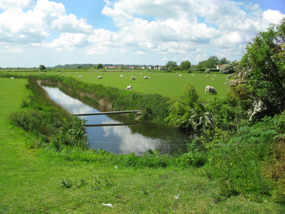 Rye Harbour Nature Reserve
