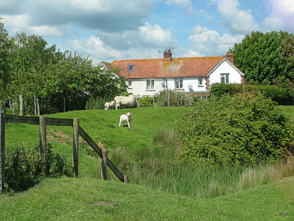 Rye Harbour Nature Reserve
