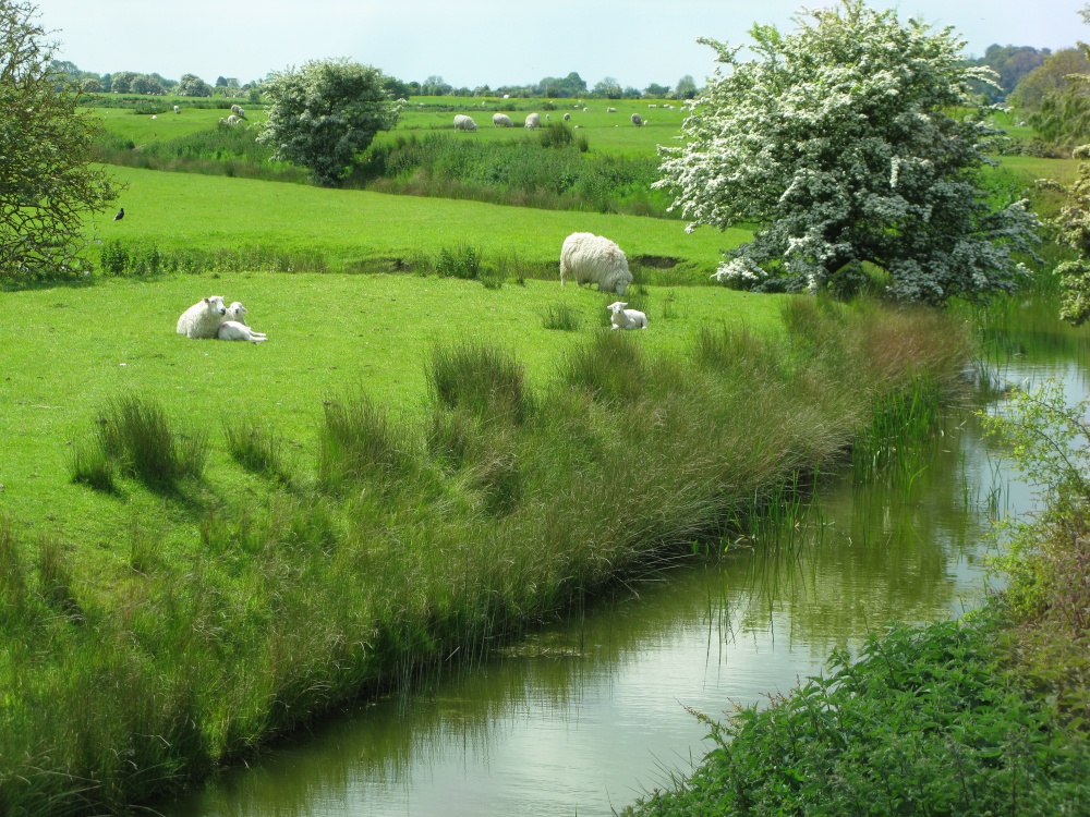 Rye Harbour Nature Reserve