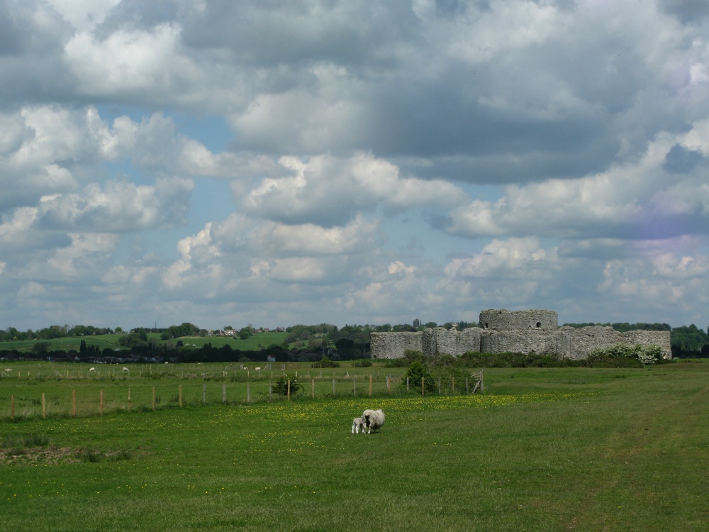 Camber Castle, Rye Harbour Nature Reserve