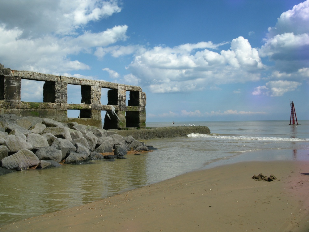 Rye Harbour Nature Reserve