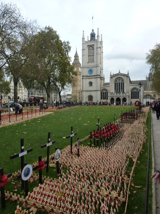 Field of Remembrance, 11th November 2015