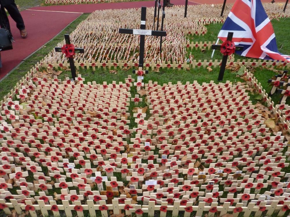 Field of Remembrance, 11th November 2015