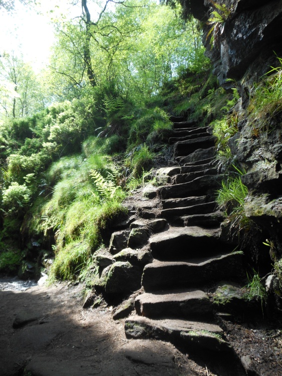 Lud's Church, Peak District National Park, near Leek, Staffordshire