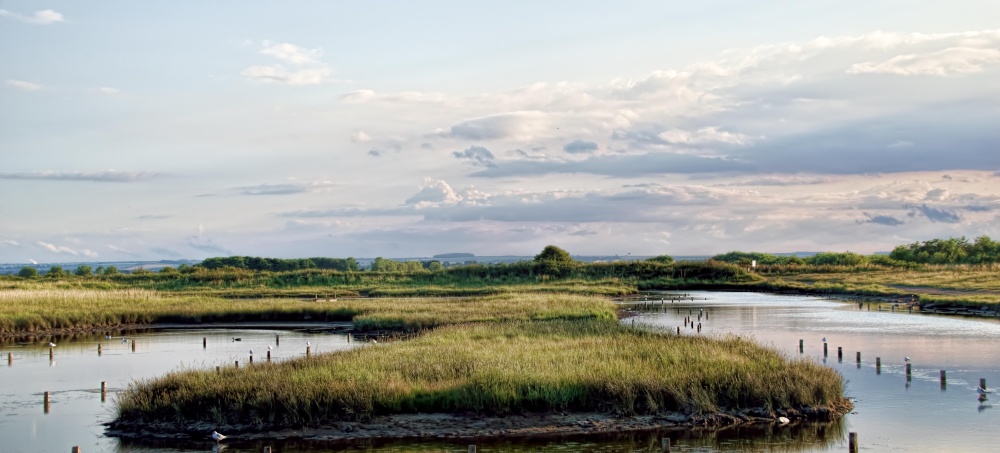 Tetney Marshes