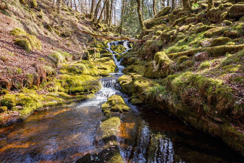 Venford Brook, Dartmoor National Park