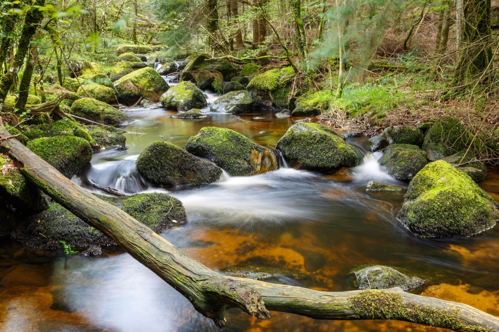 Becka Brook - Dartmoor National Park