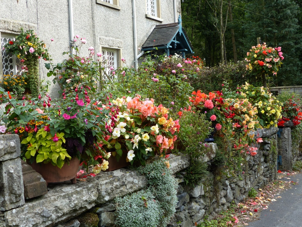 Colourful cottage garden near Holker Hall