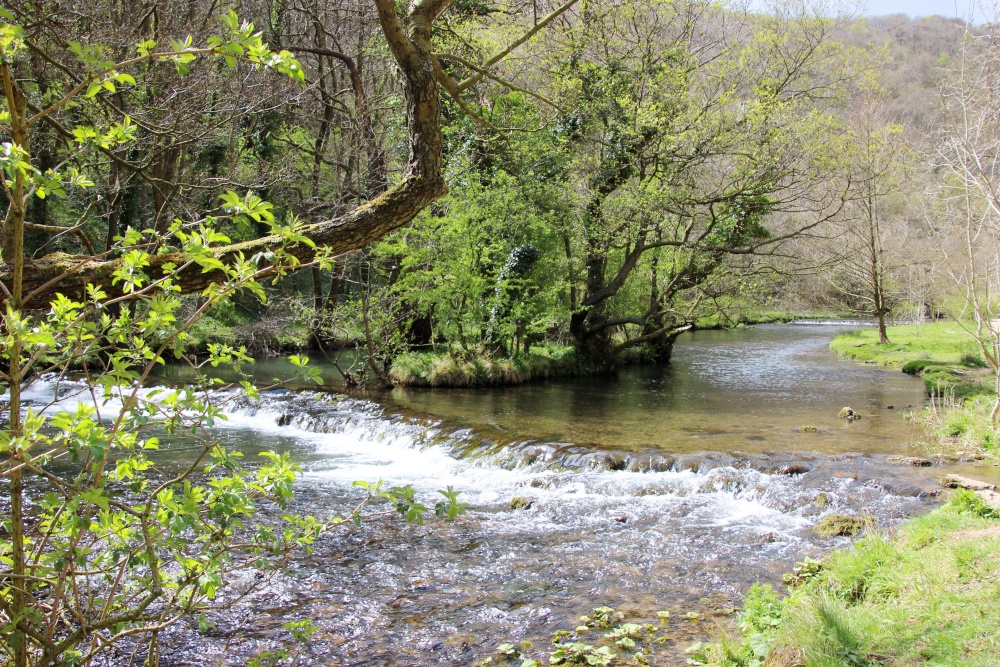 Pastoral trail in Dovedale Ilam