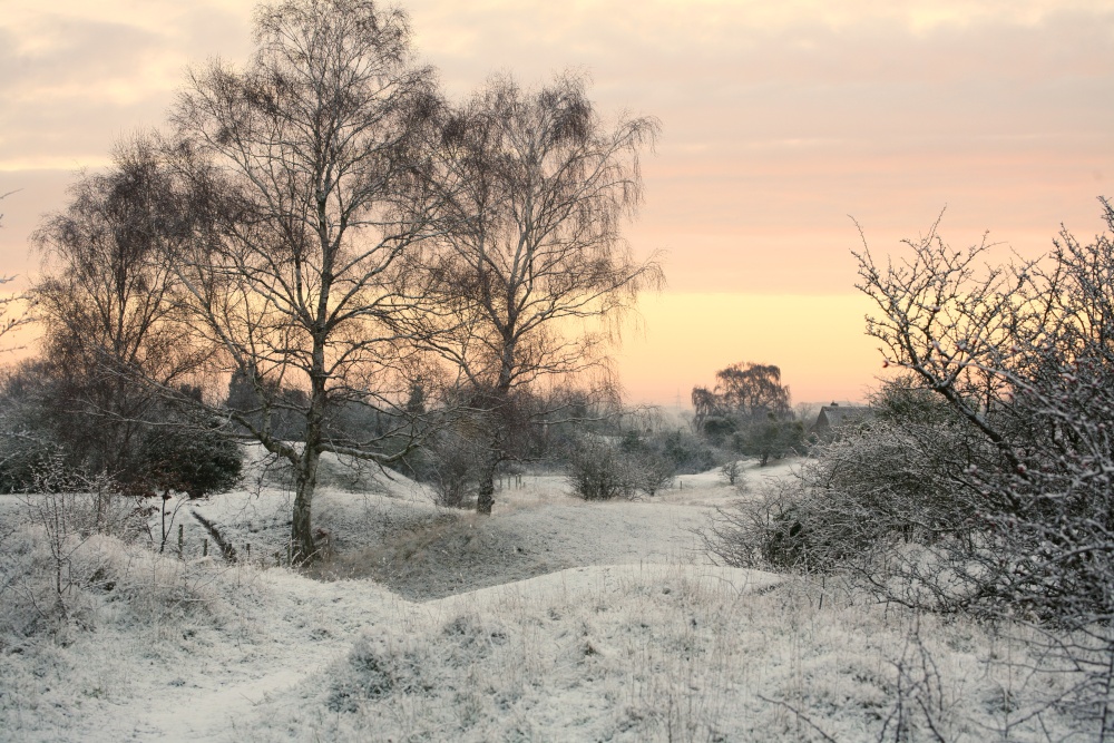 Barnack Hills & Holes in winter scenery .