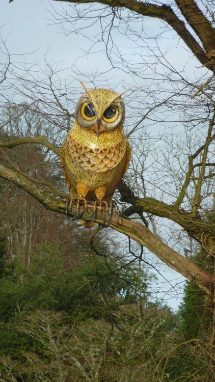 Now that's what I call a bird!