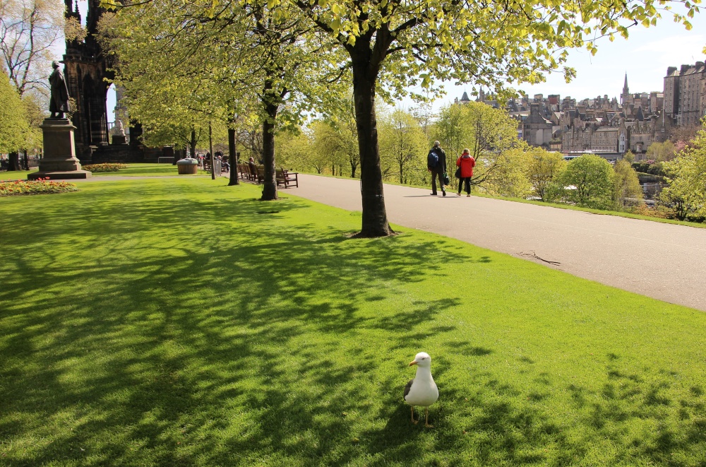 Spring in Edinburgh Scotland